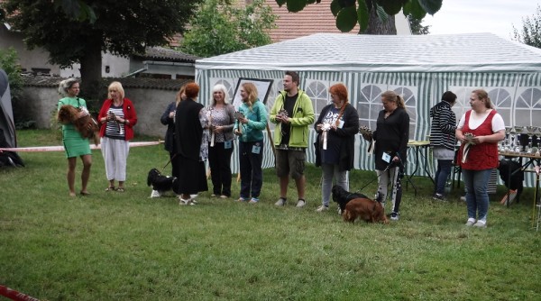 KV 2020-I, 11.7.2020, Městec Králové